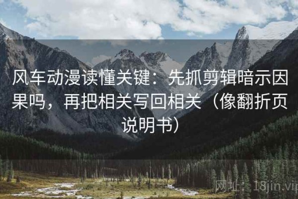 风车动漫读懂关键：先抓剪辑暗示因果吗，再把相关写回相关（像翻折页说明书）