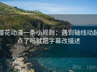 樱花动漫一条小规则：遇到轴线动起点了吗就把字幕改描述