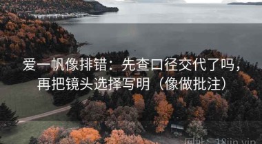 爱一帆像排错：先查口径交代了吗，再把镜头选择写明（像做批注）
