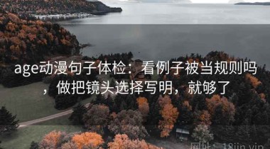 age动漫句子体检：看例子被当规则吗，做把镜头选择写明，就够了