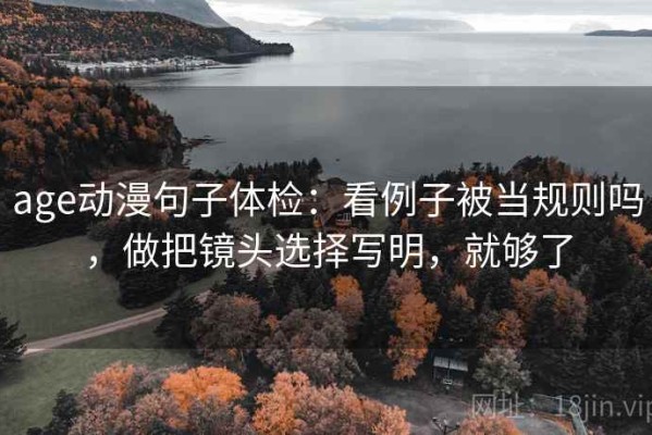 age动漫句子体检：看例子被当规则吗，做把镜头选择写明，就够了