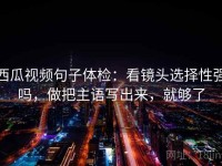西瓜视频句子体检：看镜头选择性强吗，做把主语写出来，就够了