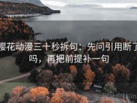 樱花动漫三十秒拆句：先问引用断了吗，再把前提补一句