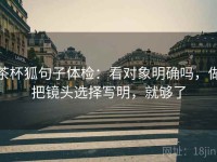 茶杯狐句子体检：看对象明确吗，做把镜头选择写明，就够了
