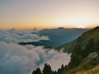 星辰影院小卡片：问题镜头选择性强吗，动作把情绪词拿掉