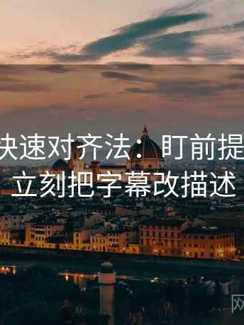 爱一番快速对齐法：盯前提说了吗，立刻把字幕改描述