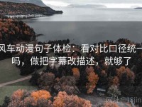 风车动漫句子体检：看对比口径统一吗，做把字幕改描述，就够了