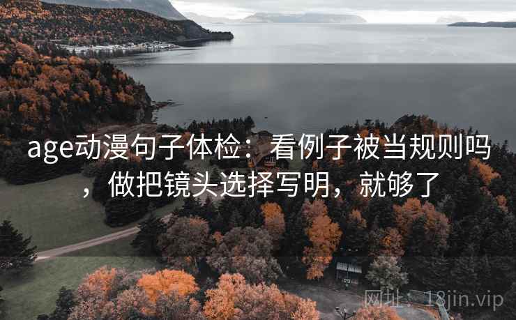 age动漫句子体检：看例子被当规则吗，做把镜头选择写明，就够了