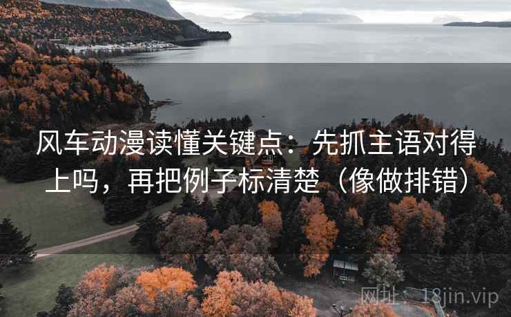 风车动漫读懂关键点：先抓主语对得上吗，再把例子标清楚（像做排错）
